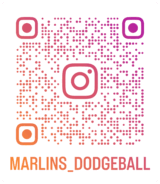 光陽マーリンズ公式サイト